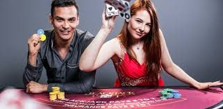 ck444 bet login
