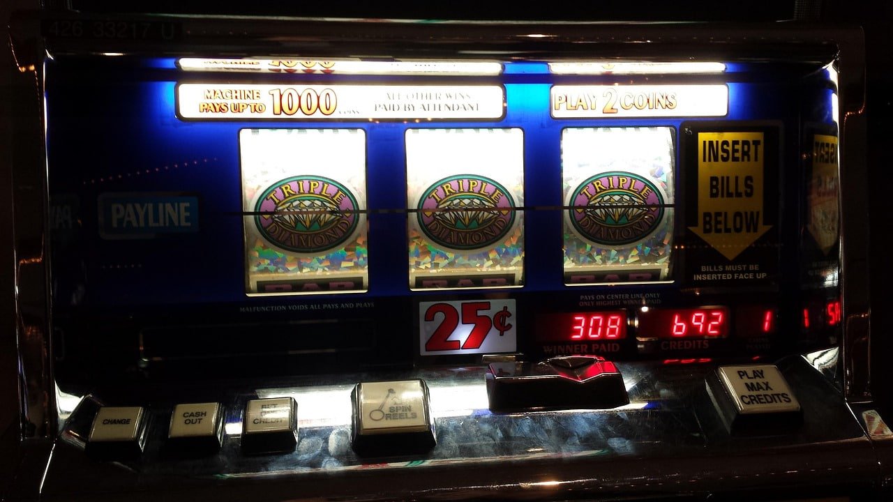 ck444 bet login